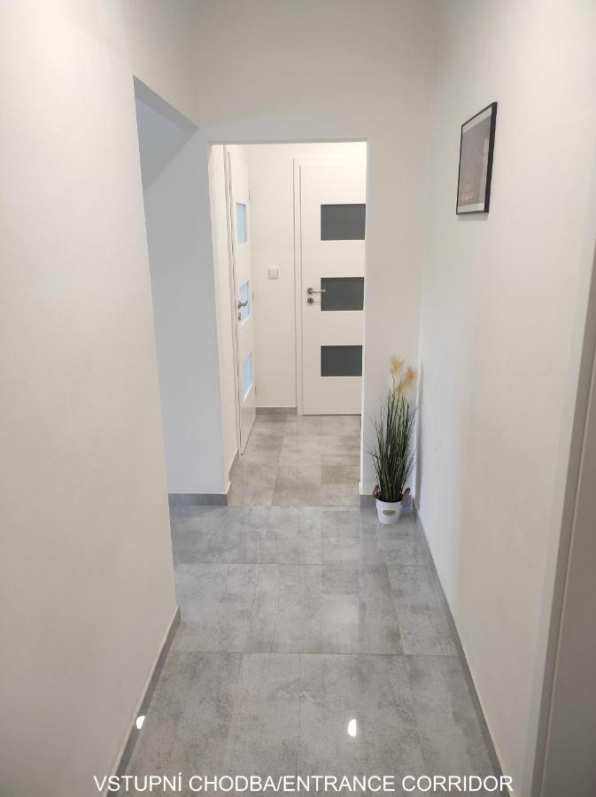 Dobre Misto Apartment Loucna nad Desnou Exterior photo